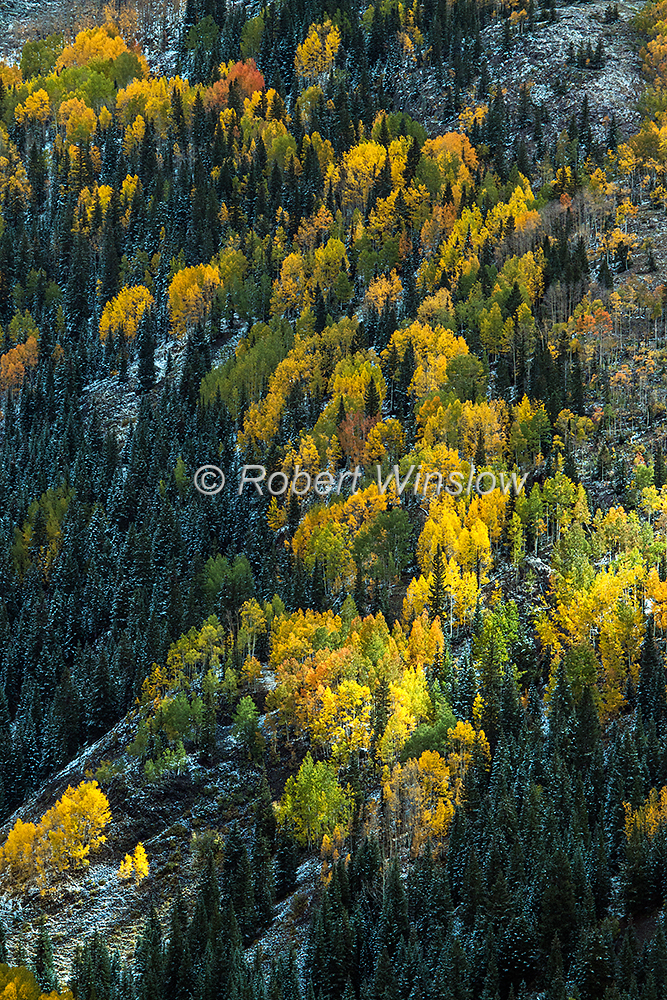San Juan Mountains Fall Colors 2319W1WM