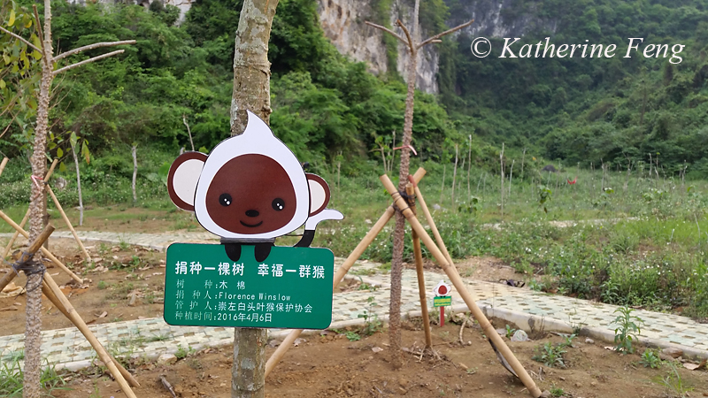 Florence Winslow Tree a W8