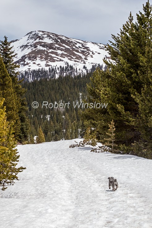 Duffy Hike to Andrews Lake 9402W1WM