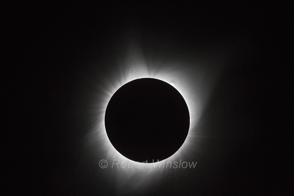 Total Solar Eclipse ———— 21 August, 2017 – Adventures, Animals and Images