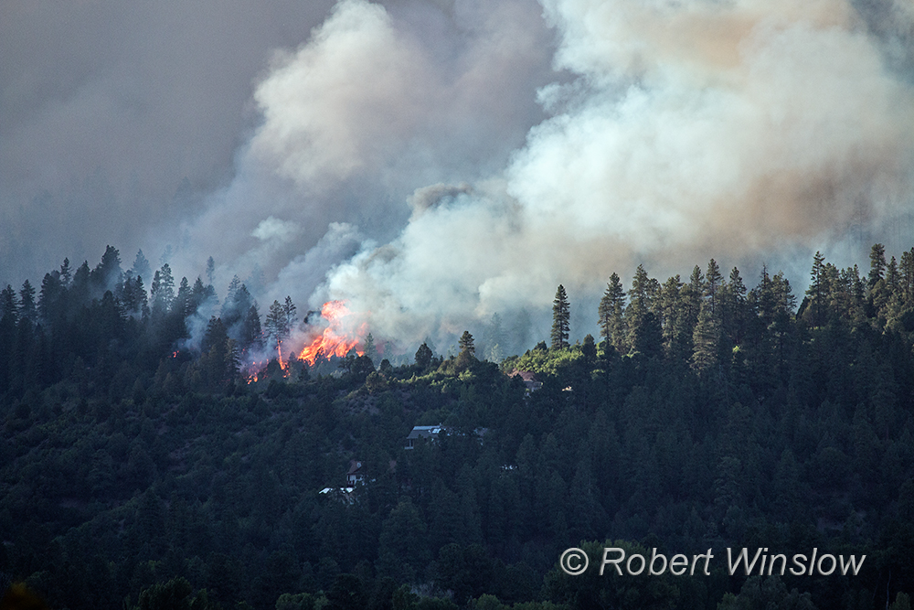 416 Wildfire, Durango, La Plata County, Colorado, USA, North America
